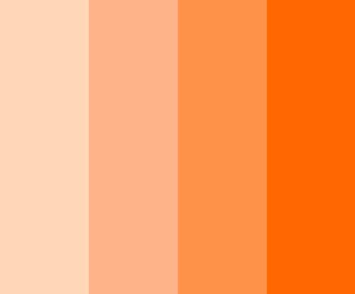 Assorted Orange Hues  Shades of orange, Light orange paint, Orange paint  colors