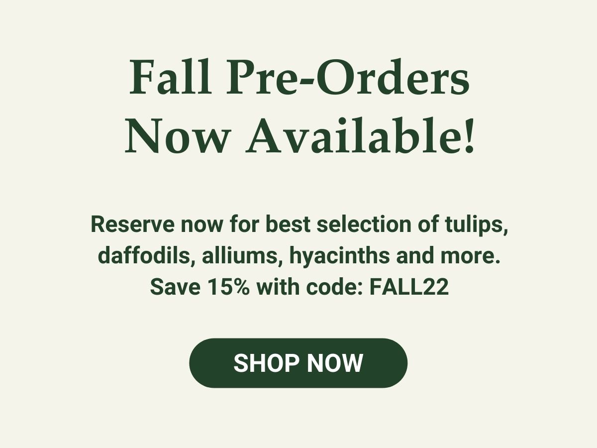 Fall Pre-Orders Available Now