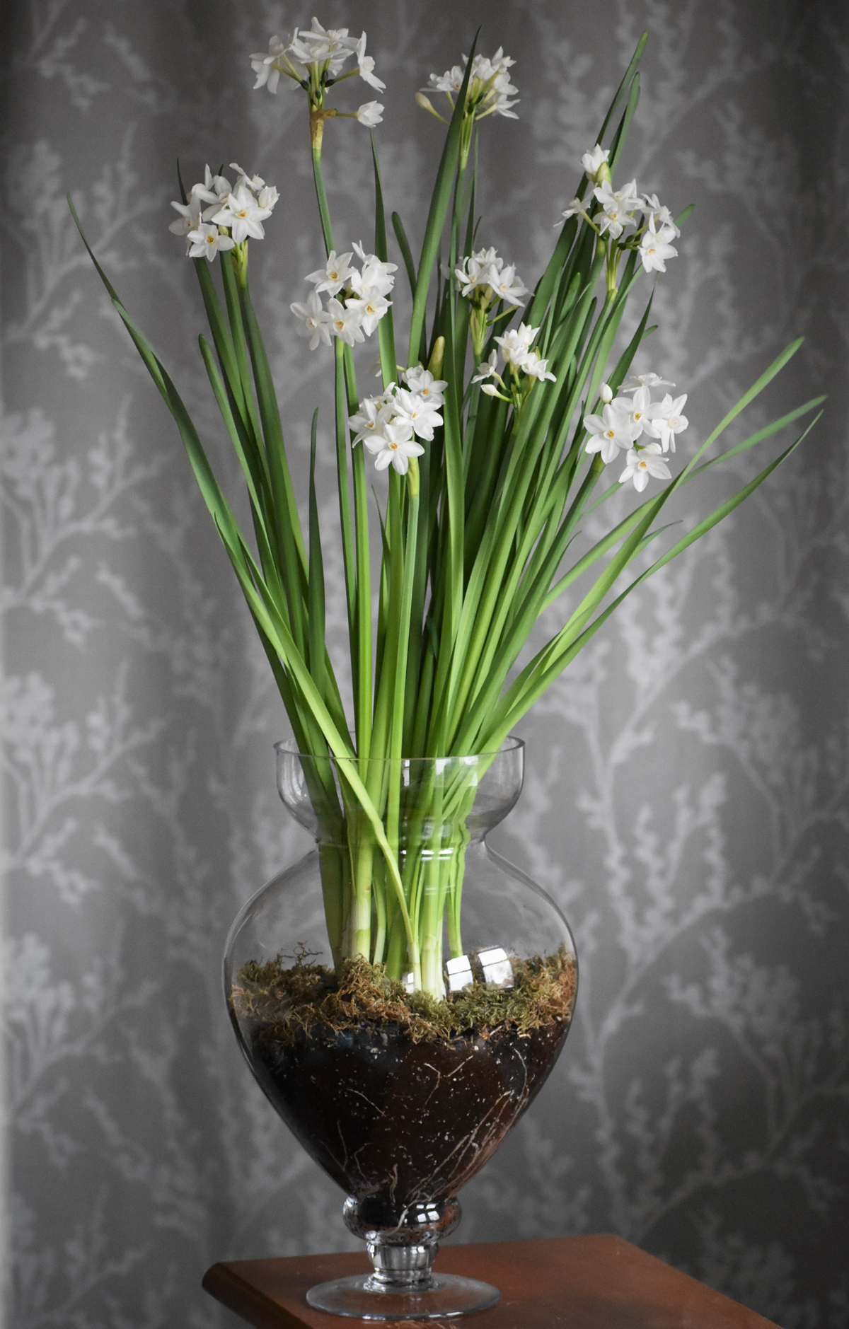 paperwhites-3.jpg