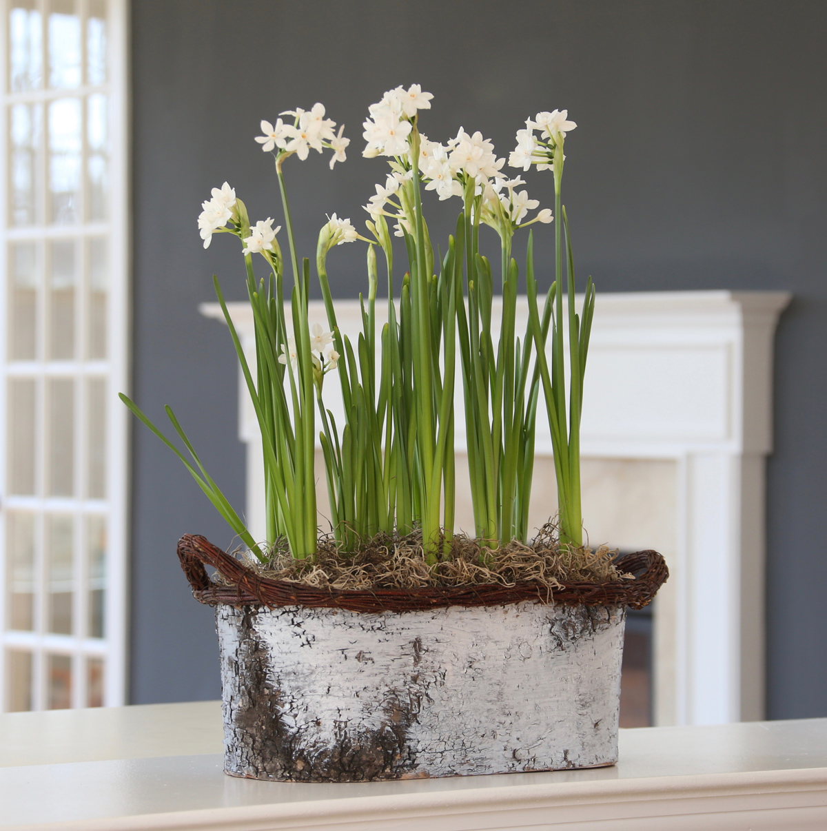 paperwhites-8.jpg