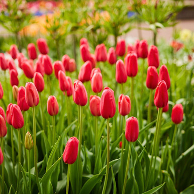 New_Images_10__01994.