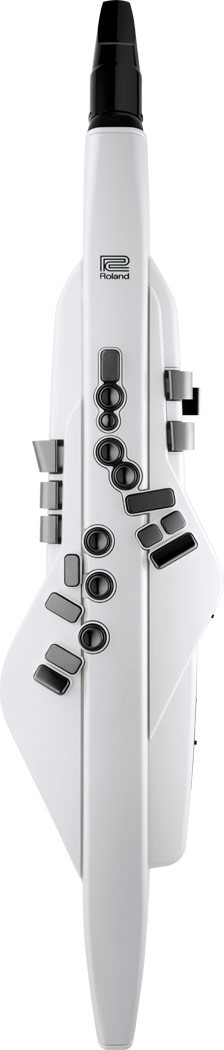 Roland Aerophone AE-20 - Digital Wind Instrument (White)