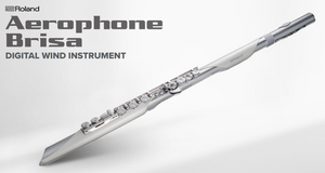 Roland Aerophone Brisa - Digital Wind Instrument Roland Aerophone Brisa - Digital Wind Instrument