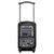 Hamilton Buhl VENU100A High Quality PA System - DVD/CD/MP3 Bluetooth® and Wireless Handheld Microphones