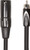 Roland Black Series Interconnect Cable - 5ft Interconnect Cable, XLR(Male)-­RCA