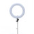 IK RLB48-M2 18" Ring Light