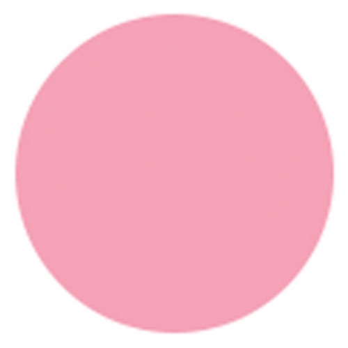 3 Claveles Charlotte - Colour: Pink 3 Claveles Charlotte - Colour: Pink