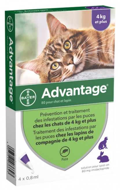 Advantage 80 Antifleas Solution for Cat and Rabbit of 4kg and More 4 Pipettes