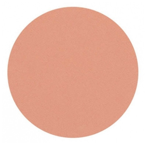 Parisax Pro Matte Eyeshadow Salmon Pink Parisax