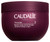 Caudalie Vinosculpt Lift & Firm Body Cream 250ml