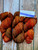 Malabrigo Rios *