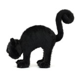 Spookipaws Cat Halloween 