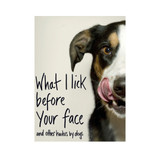 What I Lick Before Your Face _10001