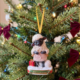 Where's Me Jumper? Sheep Decoration