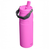 IceFlow Flip Straw Bottle 2.0 0.71L – Hot Pink