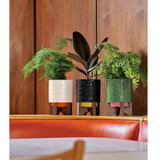 Orla Kiely Fern Debossed Plant Pot on Wooden Stand_10002