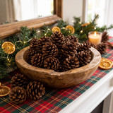 Christmas Spice Scented Pine Cones