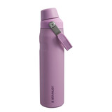 Aerolight IceFlow Bottle Fast Flow I 0.6L Lilac 