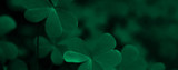 Celebrate St. Patrick’s Day with Kilkenny Design: A Showcase of Irish Craftsmanship