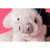 Smudge Cow – Original Cream