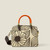 Moonflower Desert Block Handbag