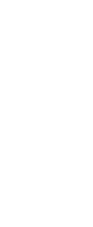 Section 2 Bg