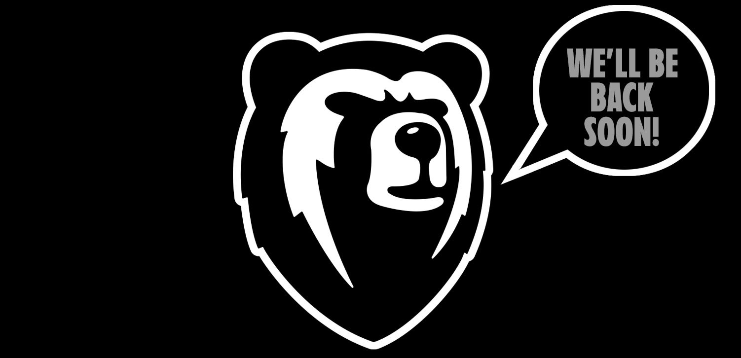 Bear Logo