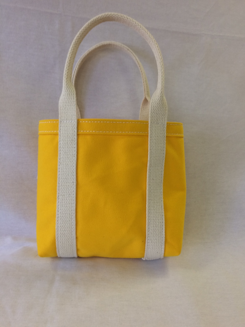 Small Canvas Tote Bag for Tiffin 10 x 10x 4.5 - No Plastic Shop