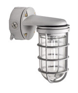 Main image of a Topaz Part No. VFW100W75CG