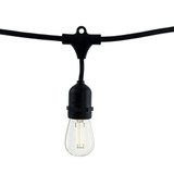 Main image of a Bulbrite 810009 LED S14 string light