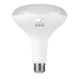 Main image of a ESL Vision ESL-BR40-13W-12750 LED BR40 light bulb