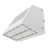Main image of a ESL Vision ESL-FCWP-65110W-23050-WH LED  fixture