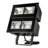 Lumark | NFFLD-L-C100-T-LM | NFFLD-L-C100-T