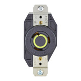 Leviton | 2310-LV | 2310