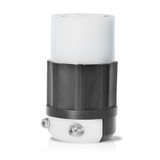 Leviton | 7413-C-LV | 7413-C