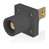 Leviton | 16R33-BE-LV | 16R33-BE