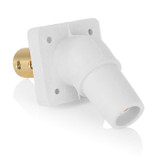 Leviton | 16R36-W-LV | 16R36-W