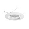Nicor 17502-NI 17502