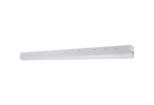 Honya LS8060T-4FT-H-5W5CCT