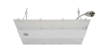 ASD Lighting ASD-WHB5B-ST-160-CP | LED Linear High Bay with Q-base STANDARD series 100/130/160W 120-277V 0-10V Dimmable 170Lm/W 3500/4000/5000K IK10 with 10ft cord with NEMA L7-15p White UL DLC Premium