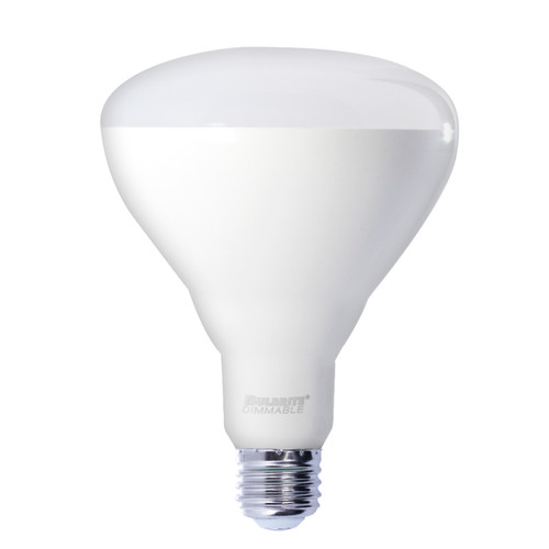 Main image of a Bulbrite 772877 LED BR40 light bulb