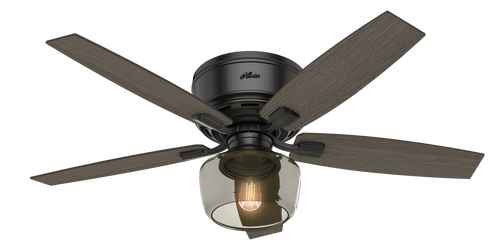 Main image of a Hunter Fan 53393 ceiling fan