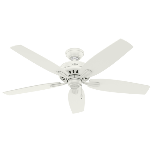 Main image of a Hunter Fan 53322 ceiling fan