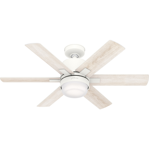 Main image of a Hunter Fan 50955 ceiling fan