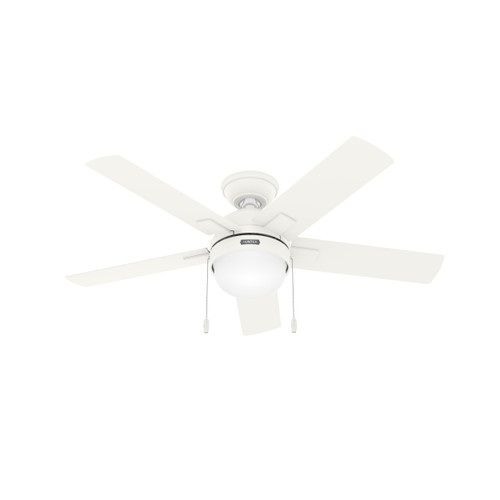 Main image of a Hunter Fan 51457 ceiling fan