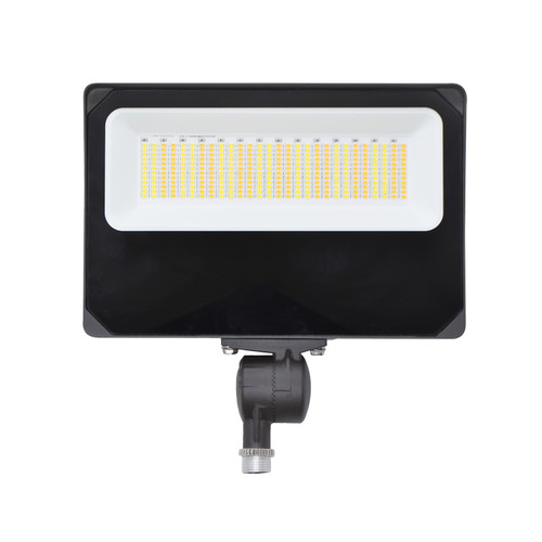 Main image of a ESL Vision ESL-FLD-5090W-13050-BZ LED  fixture