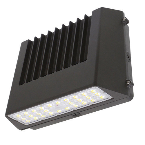 Main image of a ESL Vision ESL-FCWP-2555W-23050-BZ LED  fixture