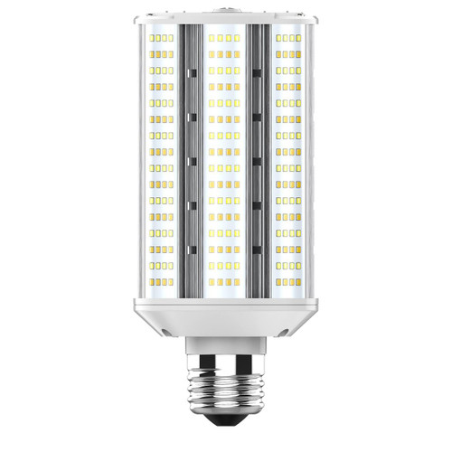 Main image of a Satco S28929 LED PT light bulb