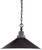 SATCO | 60-1707-S | 60-1707