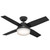 Main image of a Hunter Fan 52391 ceiling fan